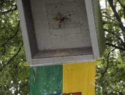 Schützenfest Montag 2026